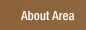 About AREA